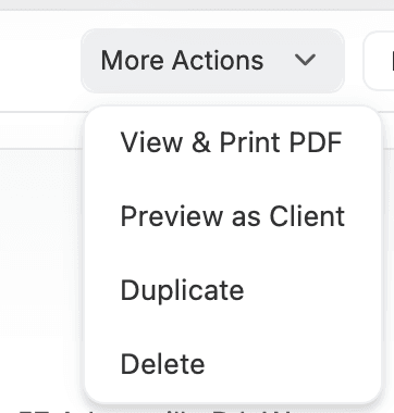 previewing a invoice as a client